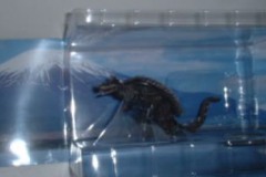 godzilla_00227