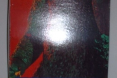 vinyl_00255